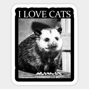 I Love Cats opossum Sticker